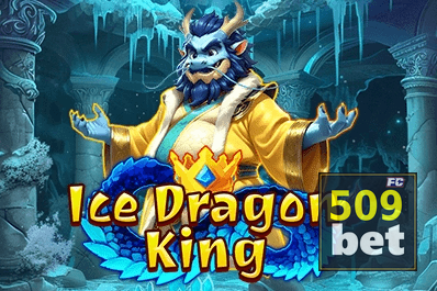 509BET plataforma — saque cashout PIX com comprovante