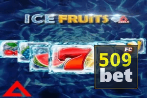 509BET ajuda online — chat de suporte no aplicativo oficial