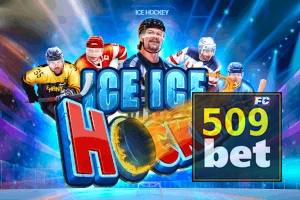 509BET feedback — categorias de sugestão e melhoria no app