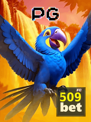 509BET bônus — cashback 15 por cento e níveis VIP