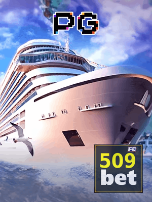 509BET termos — contrato de uso e regulamento da plataforma