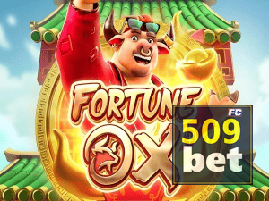 509BET login — painel de entrada no app oficial